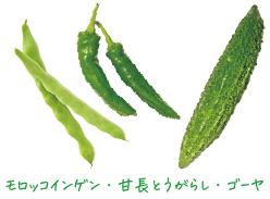 フランキー