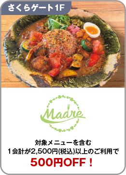 11まどれ