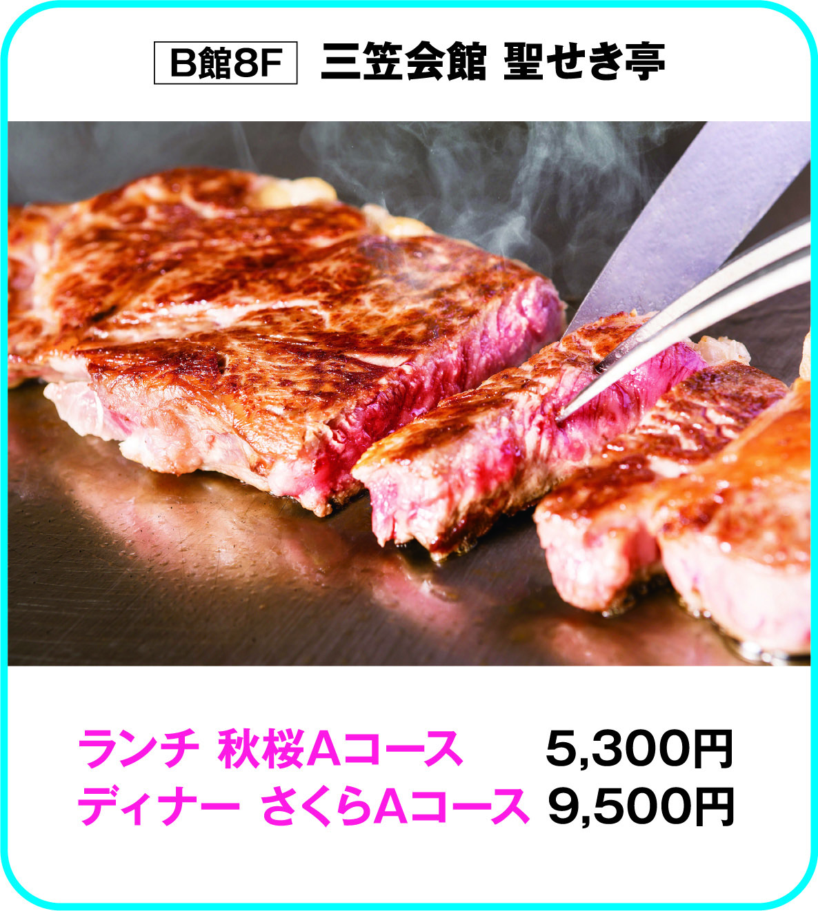 
B館8F　笠会館 聖せき亭
ランチ 秋桜Aコース 　　5,300円
ディナー さくらAコース 9,500円        
    