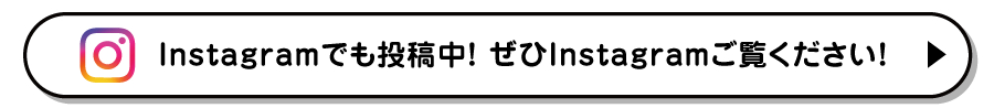 インスタグラム