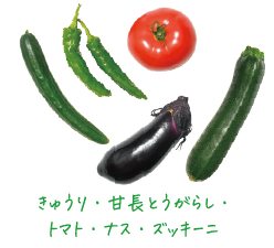 Madreの野菜