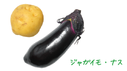 つきじ植むらの野菜