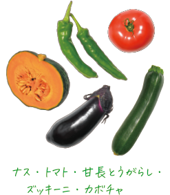 スパイスカレー専門店/ワイン食堂の野菜