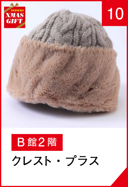 10_クレスト・プラス