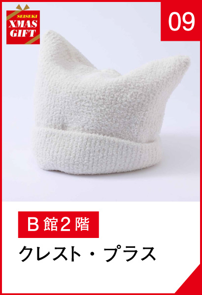 09_クレスト・プラス