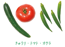椿屋カフェ［カフェ］の野菜