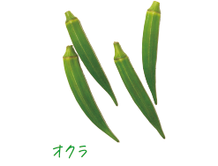 椿屋カフェ［カフェ］の野菜