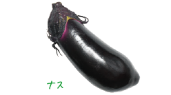 Ducky Duck キッチンの野菜
