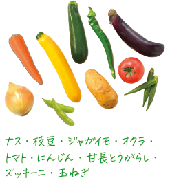 三笠会館 聖せき亭の野菜