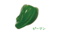 香華園の野菜
