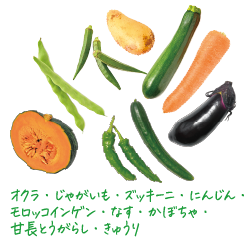 三笠会館 聖せき亭の野菜