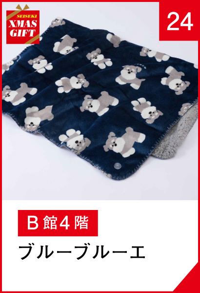 24_ブルーブルーエ