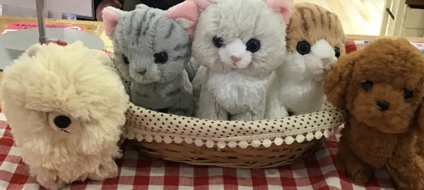 もふもふぬいぐるみ Bleu Bleuet ショップニュース せいせき 京王聖蹟桜ヶ丘ショッピングセンター もふもふぬいぐるみ Bleu Bleuet ショップニュース せいせき 京王聖蹟桜ヶ丘ショッピングセンター